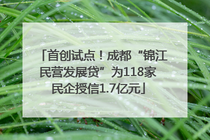 首创试点！成都“锦江民营发展贷”为118家民企授信1.7亿元