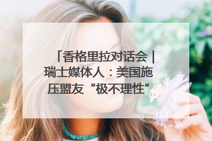香格里拉对话会｜瑞士媒体人：美国施压盟友“极不理性” 欧洲国家无意与中国“脱钩断链”