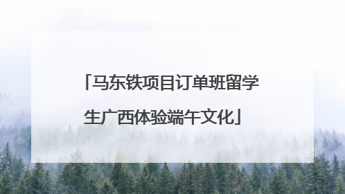 马东铁项目订单班留学生广西体验端午文化