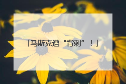 马斯克遭“背刺”！