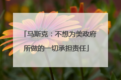 马斯克：不想为美政府所做的一切承担责任