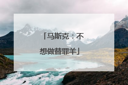 马斯克：不想做替罪羊