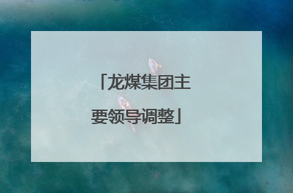 龙煤集团主要领导调整