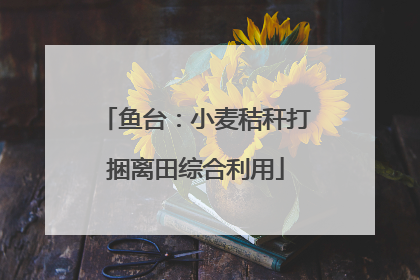 鱼台：小麦秸秆打捆离田综合利用