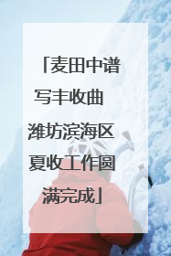 麦田中谱写丰收曲 潍坊滨海区夏收工作圆满完成