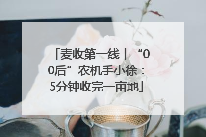 麦收第一线丨“00后”农机手小徐：5分钟收完一亩地