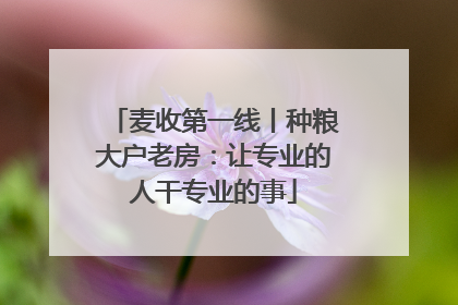 麦收第一线丨种粮大户老房：让专业的人干专业的事