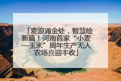 麦浪涌金处，智慧绘新篇！河南首家“小麦—玉米”周年生产无人农场喜迎丰收