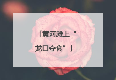 黄河滩上“龙口夺食”