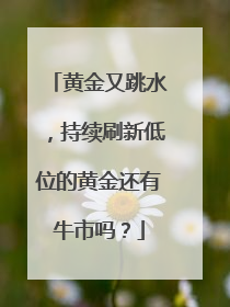 黄金又跳水，持续刷新低位的黄金还有牛市吗？