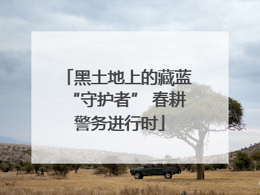 黑土地上的藏蓝“守护者” 春耕警务进行时