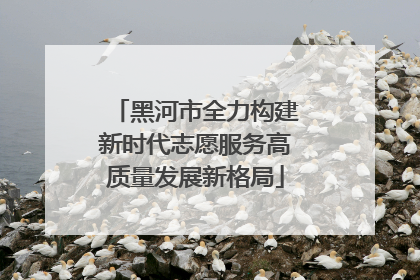 黑河市全力构建新时代志愿服务高质量发展新格局