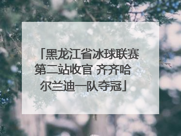 黑龙江省冰球联赛第二站收官 齐齐哈尔兰迪一队夺冠