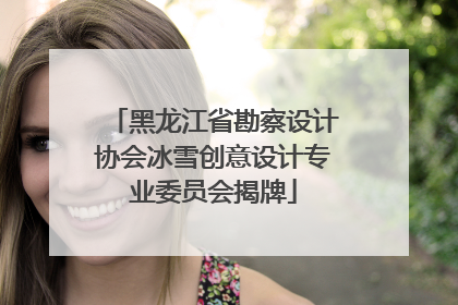 黑龙江省勘察设计协会冰雪创意设计专业委员会揭牌