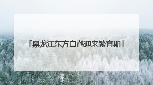 黑龙江东方白鹳迎来繁育期
