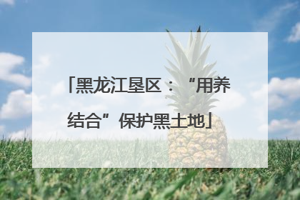 黑龙江垦区：“用养结合”保护黑土地