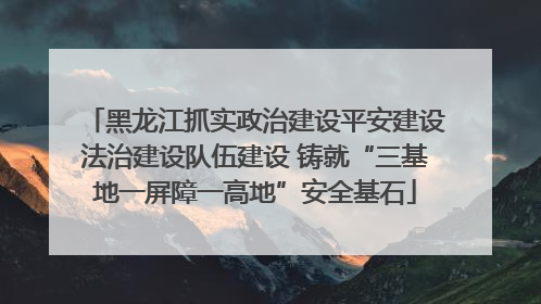 黑龙江抓实政治建设平安建设法治建设队伍建设 铸就“三基地一屏障一高地”安全基石