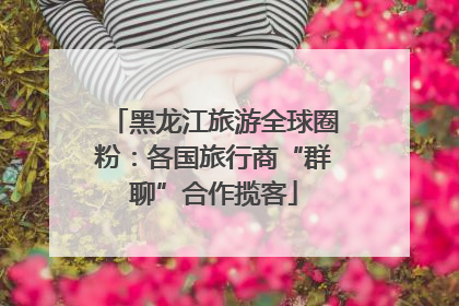 黑龙江旅游全球圈粉：各国旅行商“群聊”合作揽客