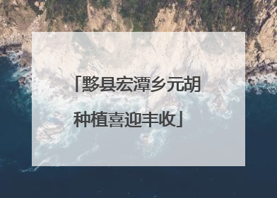 黟县宏潭乡元胡种植喜迎丰收