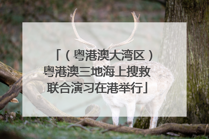 （粤港澳大湾区）粤港澳三地海上搜救联合演习在港举行
