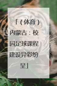 （体育）内蒙古：校园足球课程建设异彩纷呈