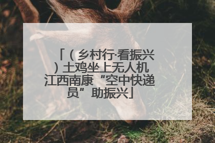 （乡村行·看振兴）土鸡坐上无人机 江西南康“空中快递员”助振兴