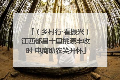 （乡村行·看振兴）江西都昌十里桃源丰收时 电商助农笑开怀