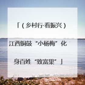 （乡村行·看振兴）江西铜鼓“小杨梅”化身百姓“致富果”