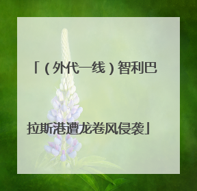 （外代一线）智利巴拉斯港遭龙卷风侵袭
