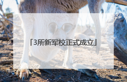 3所新军校正式成立