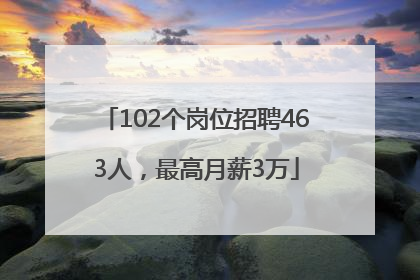 102个岗位招聘463人，最高月薪3万