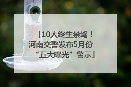 10人终生禁驾！河南交警发布5月份“五大曝光”警示