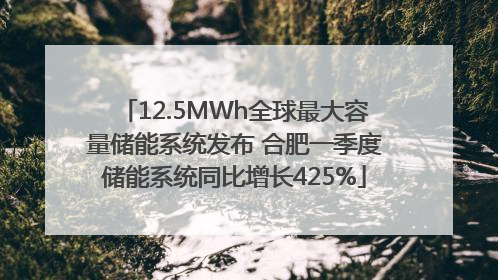 12.5MWh全球最大容量储能系统发布 合肥一季度储能系统同比增长425%