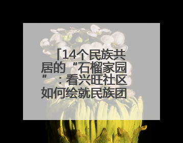 14个民族共居的“石榴家园”：看兴旺社区如何绘就民族团结幸福长卷