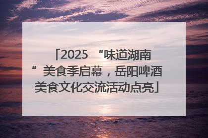2025 “味道湖南”美食季启幕，岳阳啤酒美食文化交流活动点亮