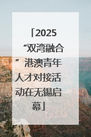 2025“双湾融合”港澳青年人才对接活动在无锡启幕