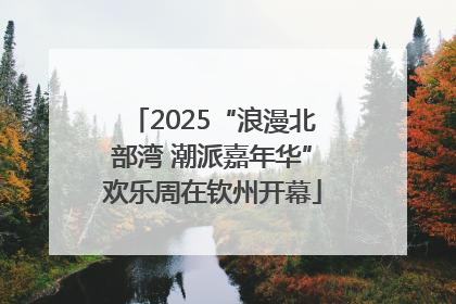 2025“浪漫北部湾 潮派嘉年华”欢乐周在钦州开幕