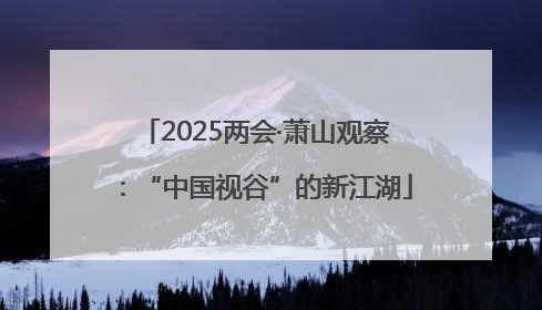 2025两会·萧山观察：“中国视谷”的新江湖