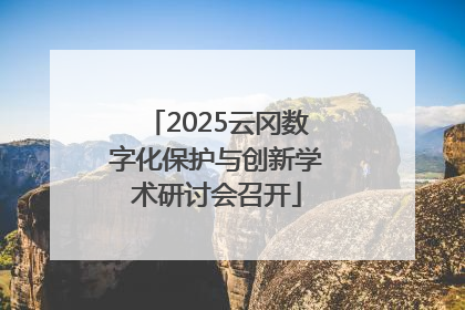 2025云冈数字化保护与创新学术研讨会召开