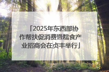 2025年东西部协作帮扶促消费暨糯食产业招商会在贞丰举行