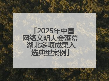 2025年中国网络文明大会落幕 湖北多项成果入选典型案例