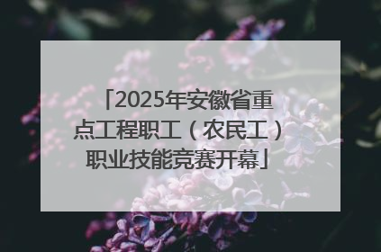 2025年安徽省重点工程职工（农民工）职业技能竞赛开幕