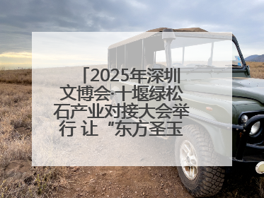 2025年深圳文博会·十堰绿松石产业对接大会举行 让“东方圣玉”闪耀世界