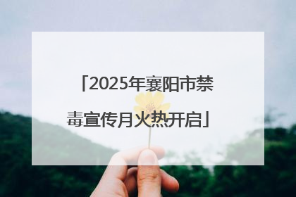 2025年襄阳市禁毒宣传月火热开启