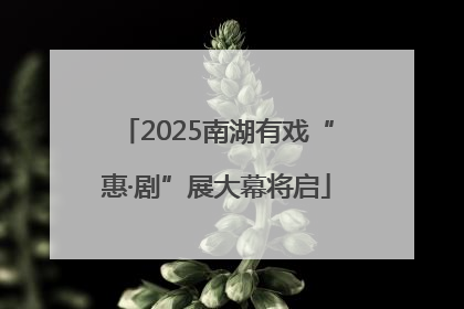 2025南湖有戏“惠·剧”展大幕将启