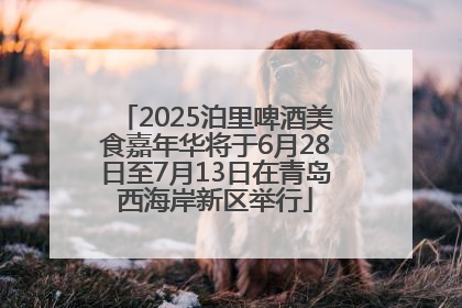2025泊里啤酒美食嘉年华将于6月28日至7月13日在青岛西海岸新区举行