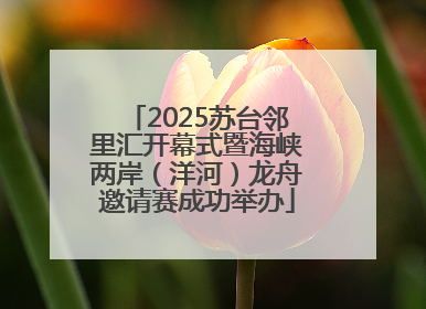 2025苏台邻里汇开幕式暨海峡两岸（洋河）龙舟邀请赛成功举办