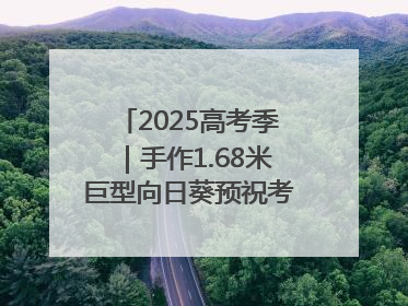 2025高考季｜手作1.68米巨型向日葵预祝考生“一举夺魁”