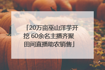 20万亩巫山洋芋开挖 60余名主播齐聚田间直播助农销售