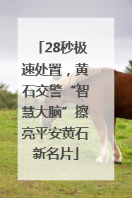 28秒极速处置，黄石交警“智慧大脑”擦亮平安黄石新名片